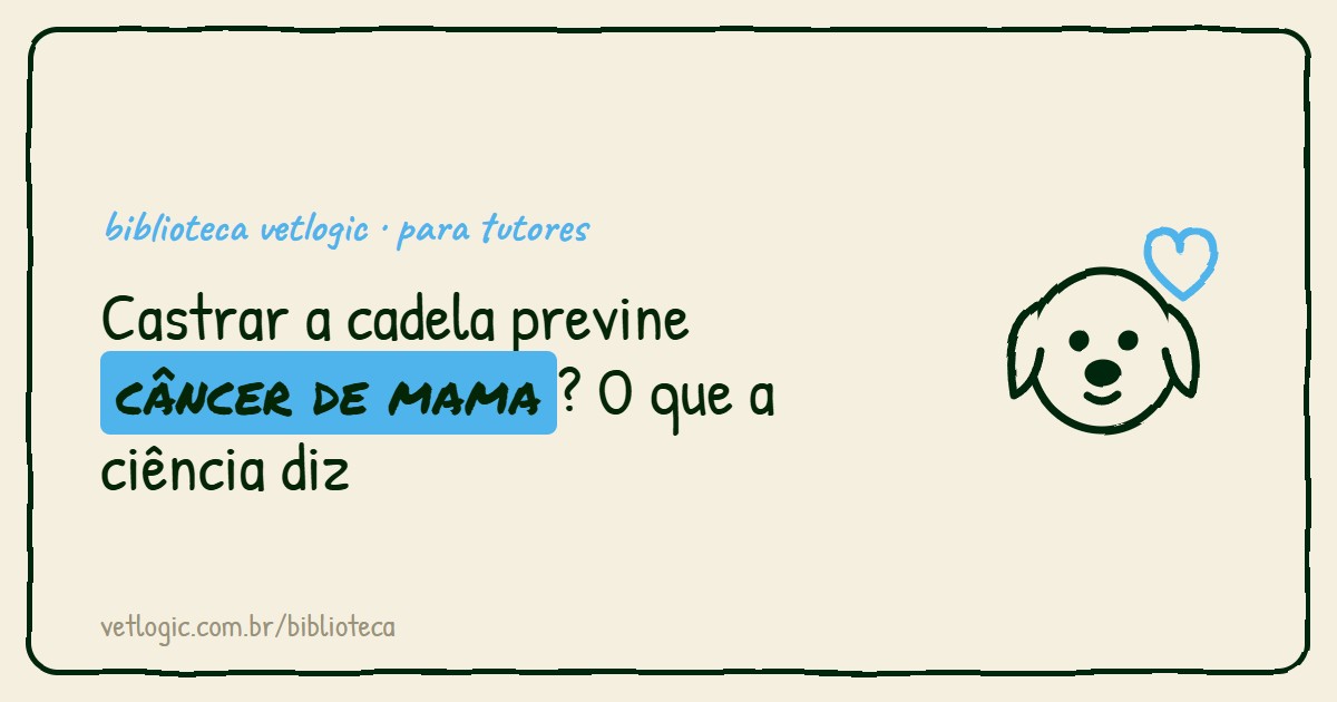Castrar a cadela previne câncer de mama? Entenda o que a ciência diz