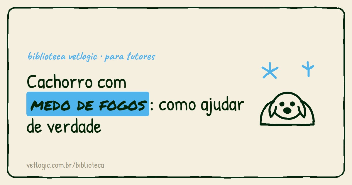 Cachorro com medo de fogos: como ajudar de verdade