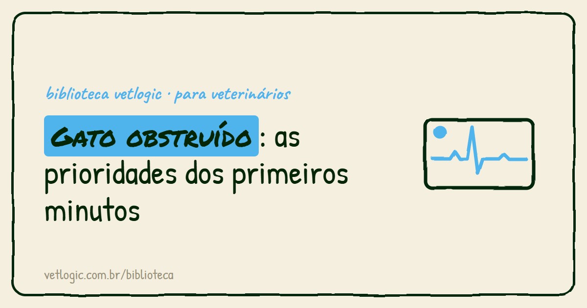 Gato obstruído: as prioridades dos primeiros minutos