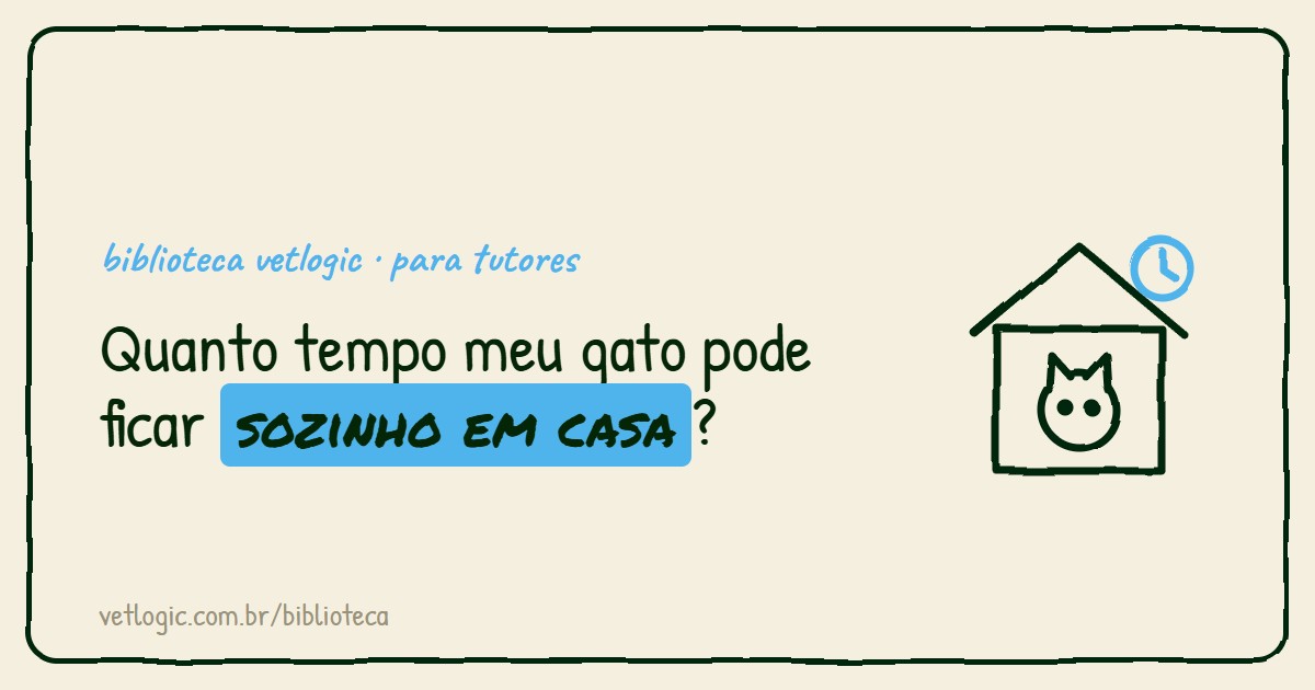Quanto tempo meu gato pode ficar sozinho em casa?